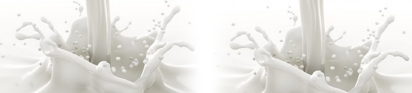 Products - Milk, Cream, Butter, Ghee, Butter Milk, Rose Milk and Badam Milk